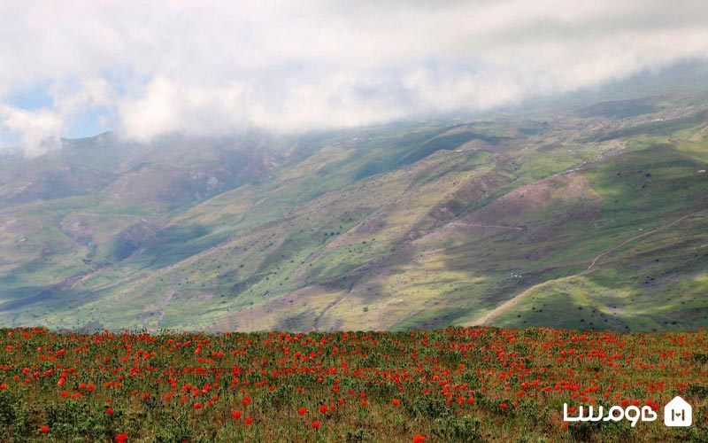 ییلاق شکردشت