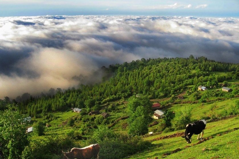 ییلاق و طبیعت ماسالhttps://masaltourism.com