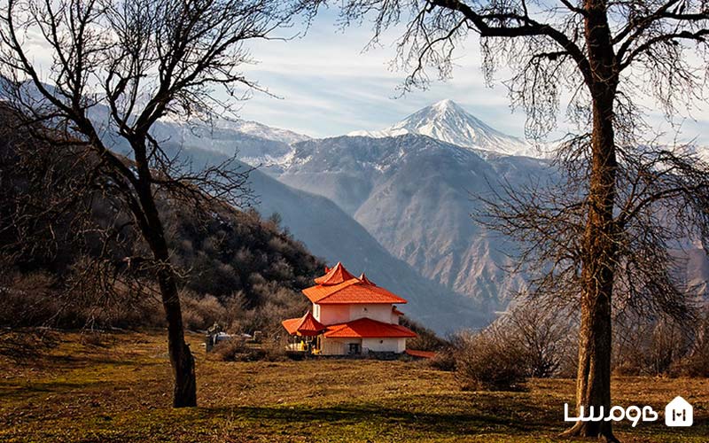 جنگل الیمستان