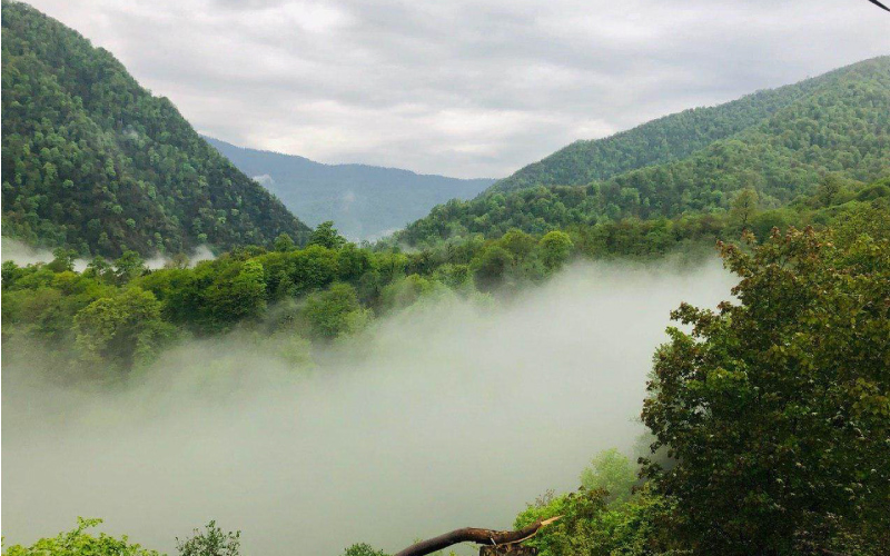 روستای ییلاقی لاویج 