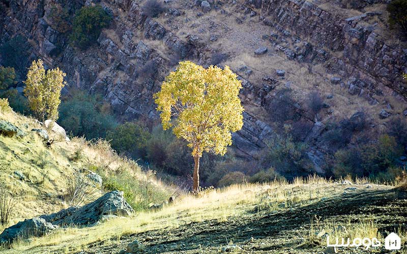 دره خزینه