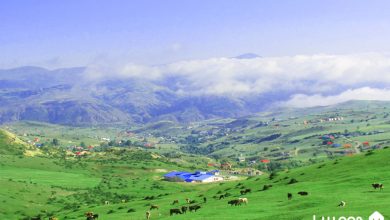 روستای دیلمان