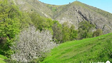 روستای لالون