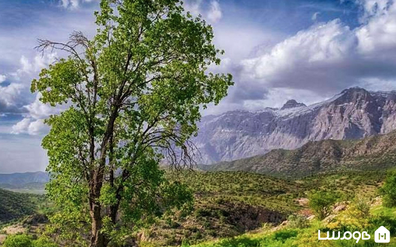 منطقه حفاظت شده سی سخت