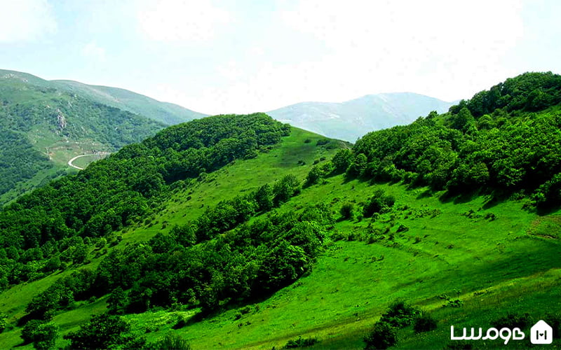 جنگل ارسباران آذربایجان