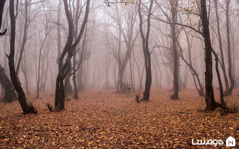 golestan-national-park