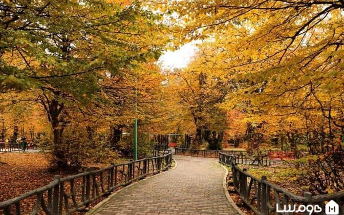 خدمات رایگان افزایش فالوور اینستاگرام کوچینگ