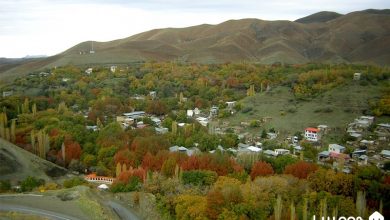 آلوی برغان