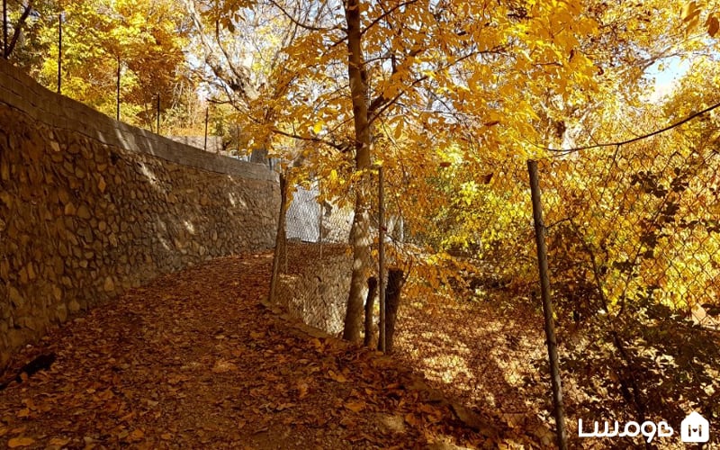 روستای برگ جهان