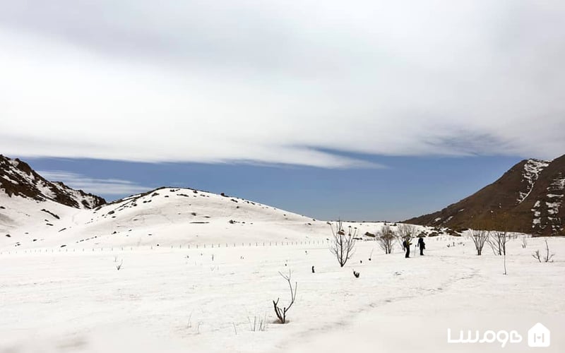 دشت هویج در زمستان