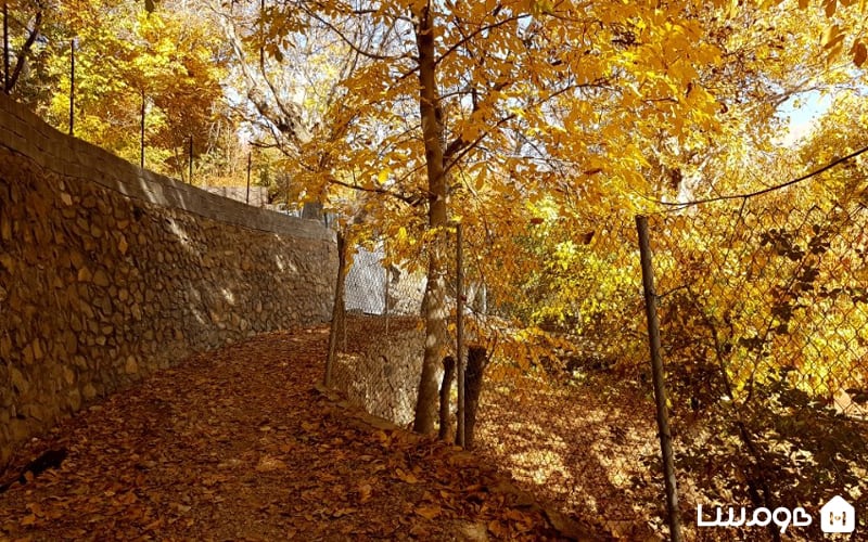 روستای برگ جهان