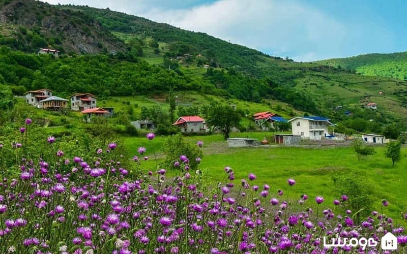 روستای گرسماسر در مرتفع‌ترین نقطه جنگل دالخانی رامسر