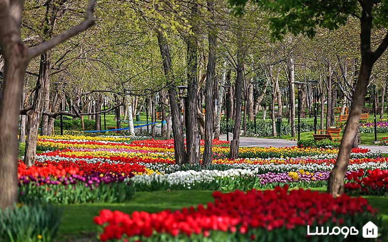 جشنواره لاله پارک ملت مشهد