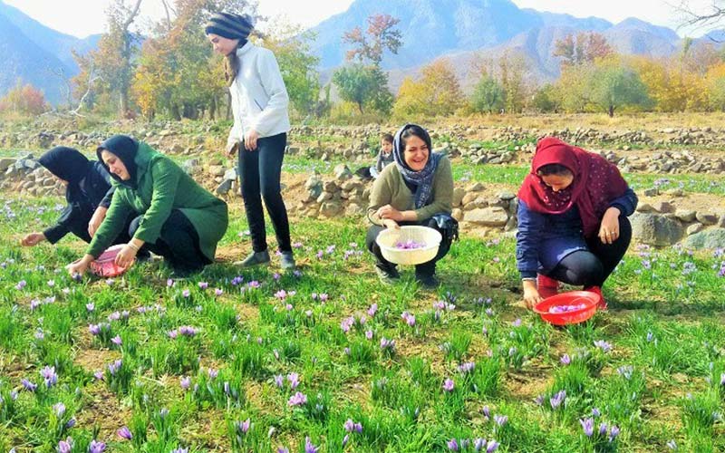 کشاورزی ایران