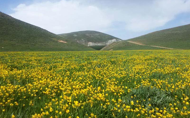 دومین جشنواره فرهنگی گردشگری روستای لرد