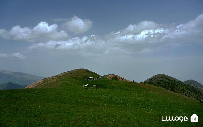 مکلوان