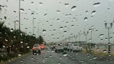 بارش باران در قزوین