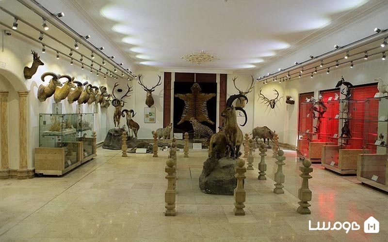 موزه داراباد