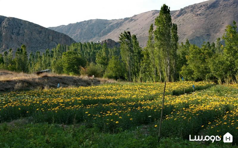 بهار روستای هرانده