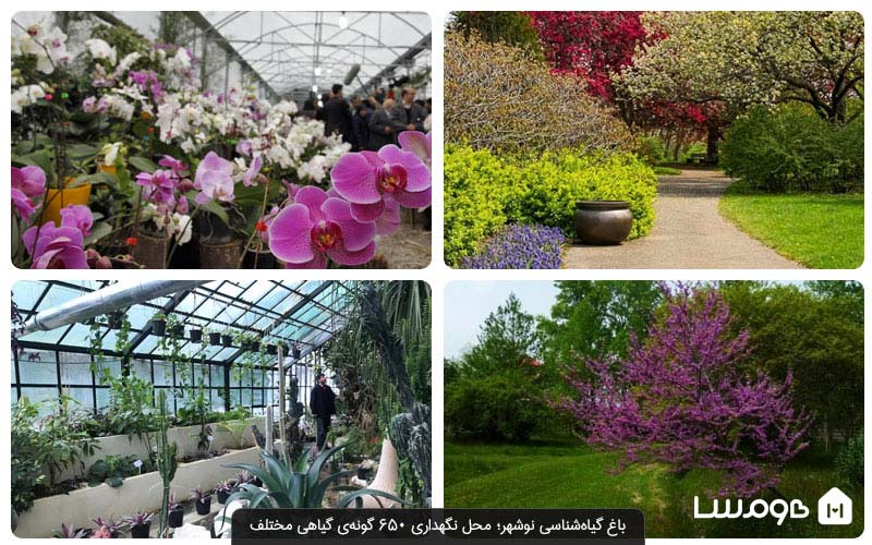 باغ گیاه شناسی نوشهر