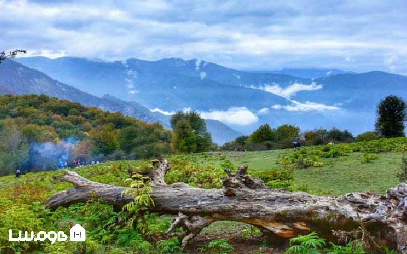 تجربه شب مانی در طبیعت شمال ایران