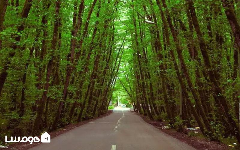 تجربه شب مانی در طبیعت شمال ایران