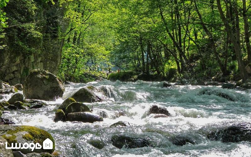 تجربه شب مانی در طبیعت شمال ایران