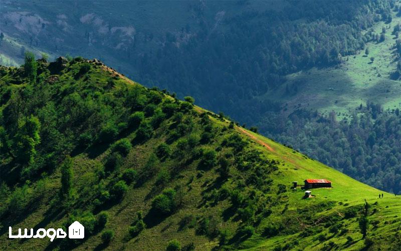 دشت‌های سرسبز و جنگلی شهرهای شمال برای نوروز