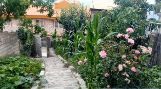 سكن عباس زاده