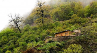 اجاره واحد بام ماسوله (1)