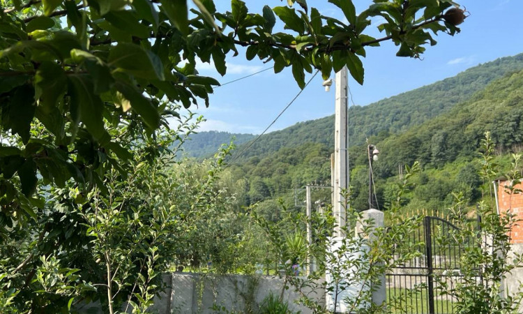 اجاره ویلا دو خواب جکوزی دار جنگلی جوارم