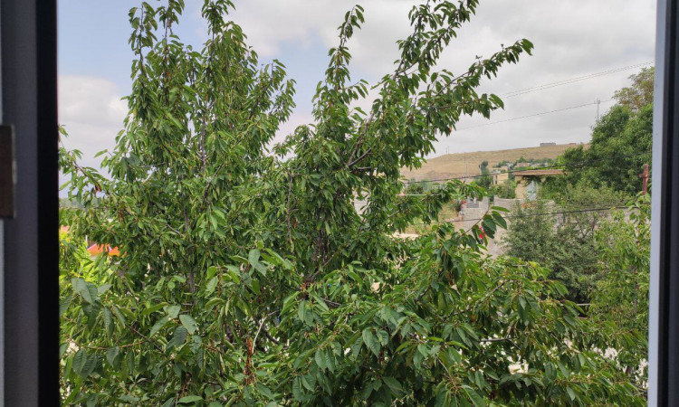 اجاره ویلا تک خواب جوادی اذر 2