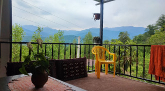 اجاره ویلا جنگلی سیوتیکا