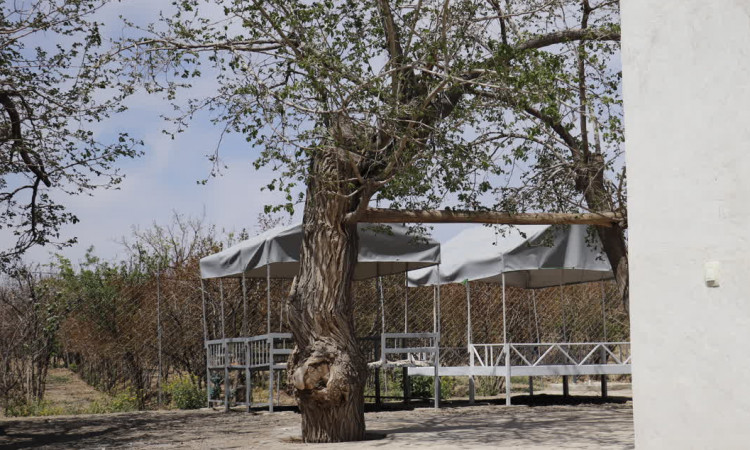 اجاره باغ ویلا مرشد