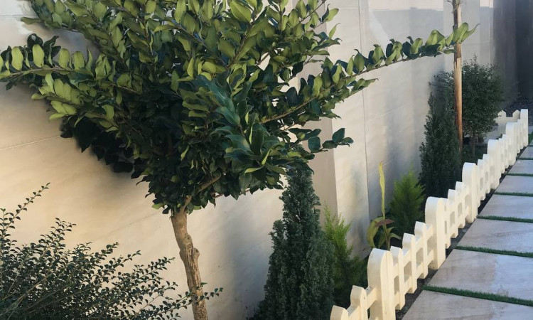 اجاره کلبه سوئیسی دوبلکس نزدیک به دریا