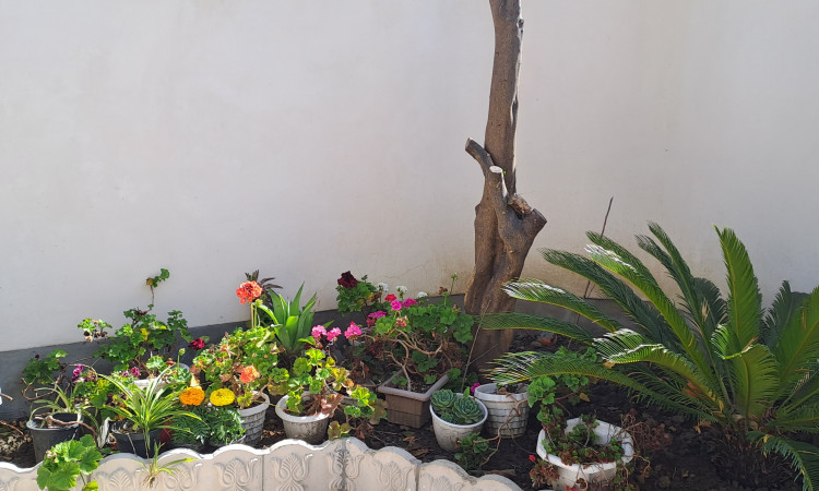 اجاره خانه ویلایی دوخوابه تمیز