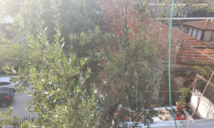 اجاره سوئیت تکسیم ، جهانگیر طبقه اول