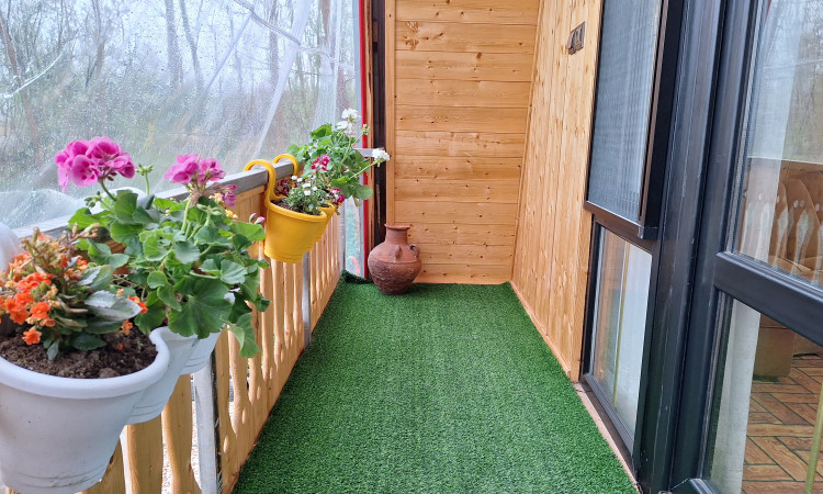 اجاره کلبه چوبی تک خواب سرسبز
