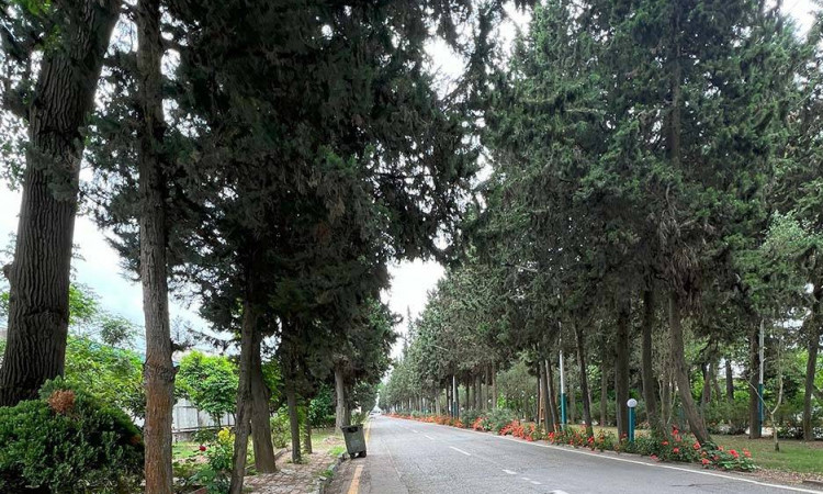 اجاره آپارتمان تک خواب شهرک ساحلی دریاکنار