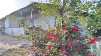 اجاره ویلا دو خواب جنگلی اسالم