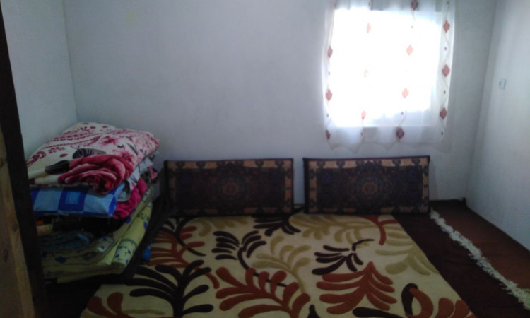 اجاره کلبه تفریحی جنگلی سعید