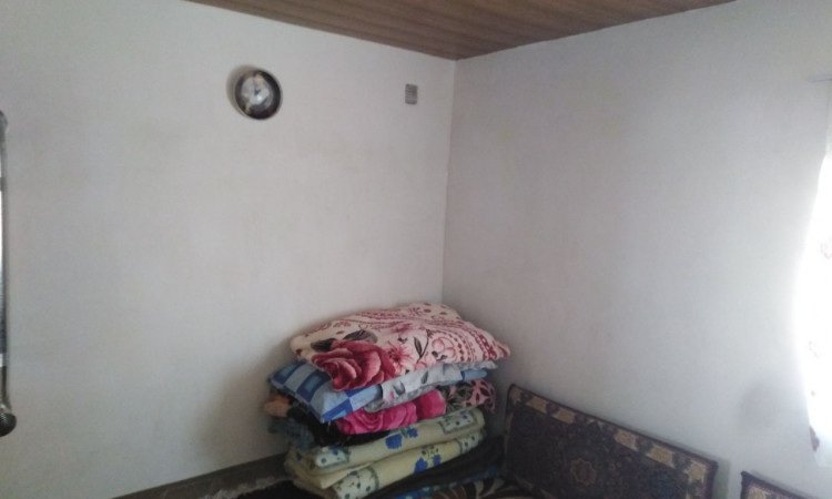 اجاره کلبه تفریحی جنگلی سعید