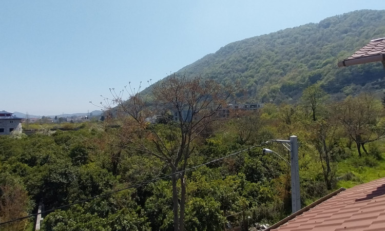 اجاره کلبه جنگلی چوبی رامسر