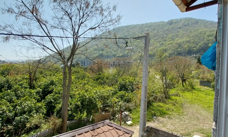 اجاره کلبه جنگلی چوبی رامسر