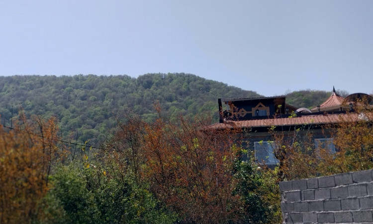 اجاره کلبه جنگلی چوبی رامسر