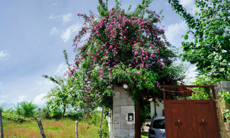اجاره ویلا دوخواب اشکانیان فومن
