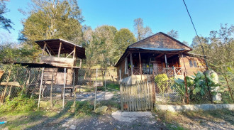 كوخ في غابة القيقب للإيجار