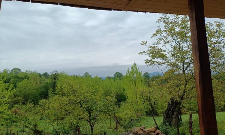 اجاره کلبه تک خواب ویشار