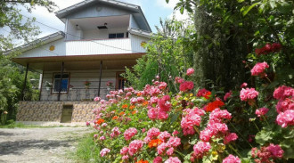 اجاره ویلا دوخوابه کوهستانی-جنگلی