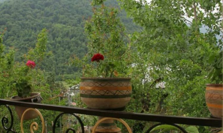 اجاره ویلا دوخوابه کوهستانی-جنگلی